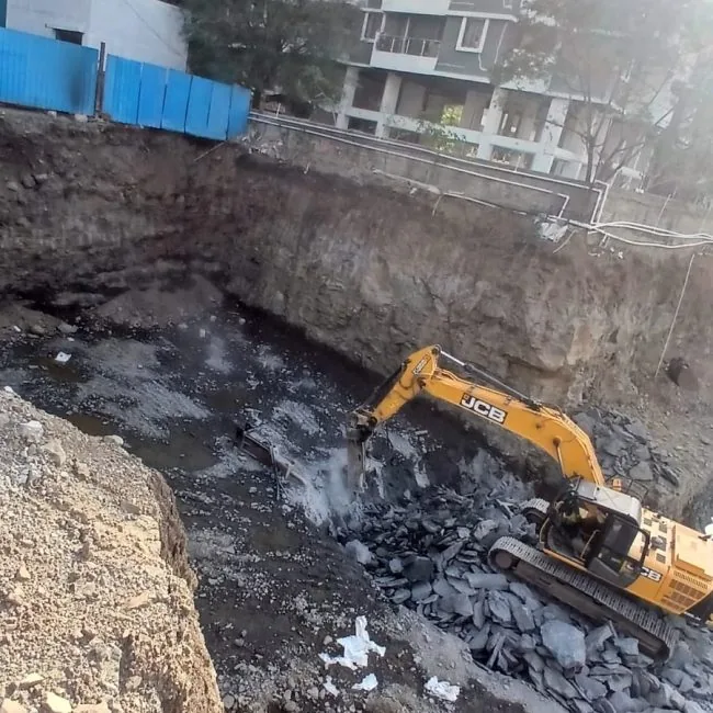 Ongoing Development View