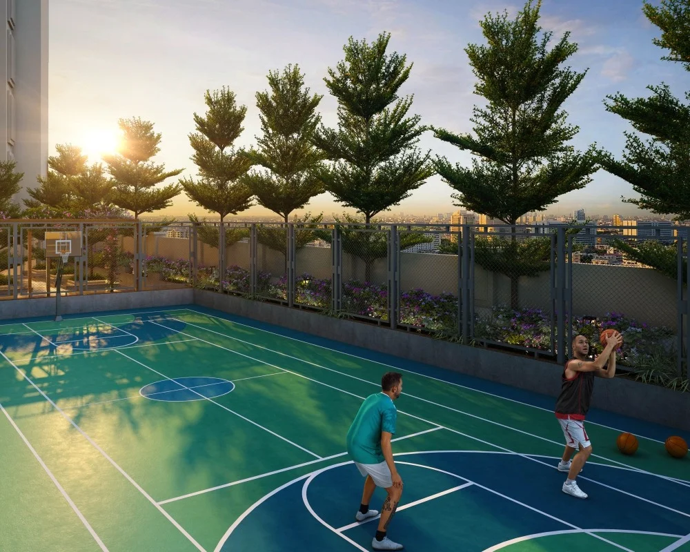 The Court in the Sky